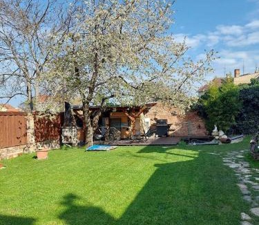 Dolni Dunajovice Wohnung | Apartmá U rybníčku