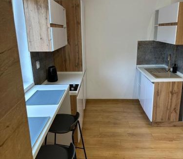 Banska Bystrica Wohnung | Apartmán BB-centrum3