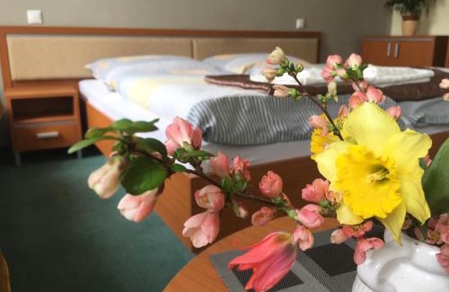 Piestany Wohnung | Apartmán Darmon