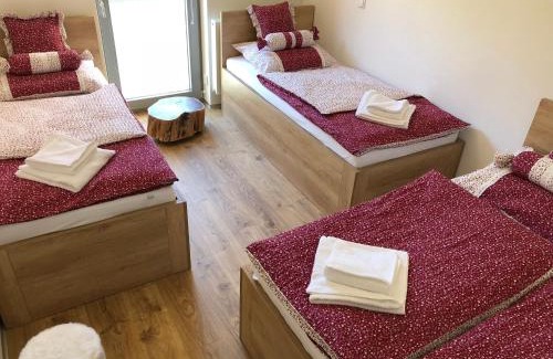 Janske Lazne Wohnung | Apartmán Jestřáb č.15