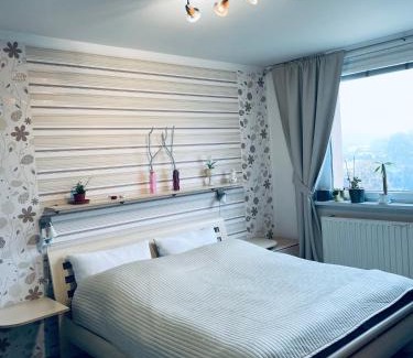 Luhacovice Wohnung | Apartmán Luhačovice