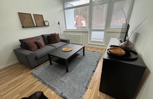 Luhacovice Wohnung | Apartmán Luhačovice III.