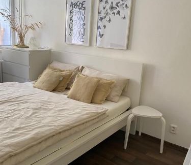 Luhacovice Wohnung | Apartmán Luhačovice II.