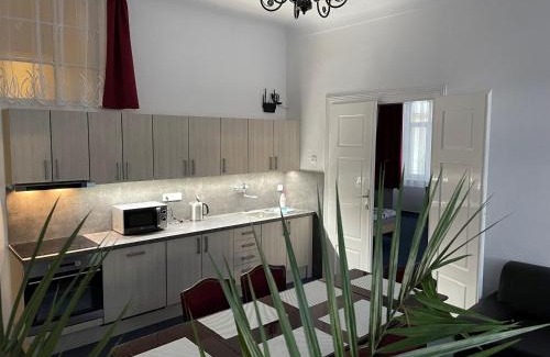 Netolice Wohnung | Apartmán Netolice 207 Deluxe