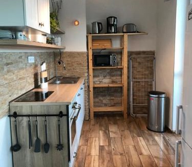 Orlicke Zahori Wohnung | Apartmán Orlické Záhoří