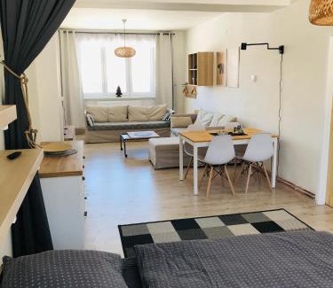 Orlicke Zahori Wohnung | Apartmán Orlické Záhoří