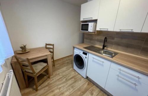 Strazny Wohnung | Apartmán Strážný-Šumava