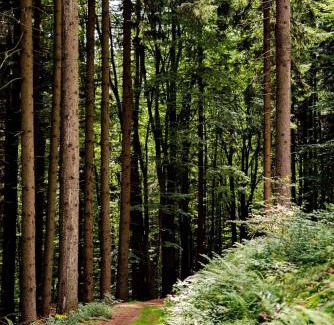 Zacler Wohnung | Apartmán v Žacléři Krkonoše