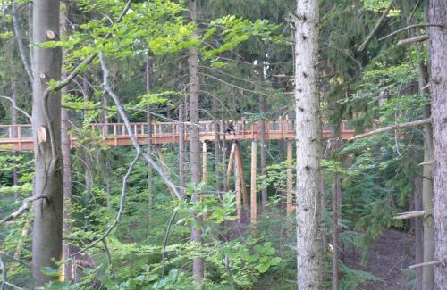 Janske Lazne Wohnung | Apartmán Zlatá Vyhlídka