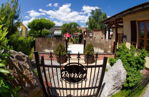 Valca Wohnung | Apartmány Berries