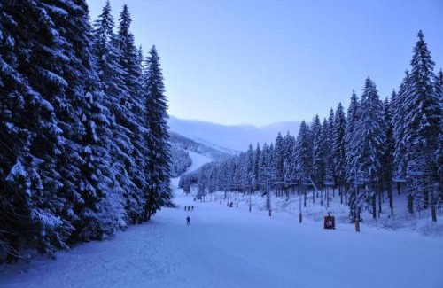 Jasna Wohnung | Apartmány Biela Púť - Jasná nr. 3