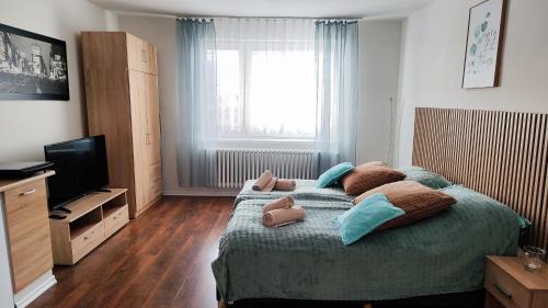 Presov Wohnung | Apartmány Chalúpkova ulica Prešov - Solivar