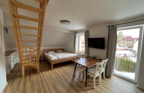 Josefov Dul Wohnung | Apartmány Josefáč se saunou