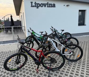 Mala Trna Wohnung | Apartmány Lipovina