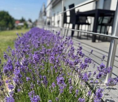 Mala Trna Wohnung | Apartmány Lipovina