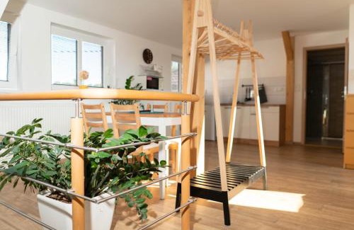 Mocovice Wohnung | Apartmány Močovice
