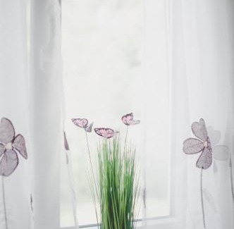 Dolenja Trebusa Wohnung | Apartma Trebušca