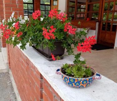 Mokra Gora Wohnung | Apartman Dunja i Miloš