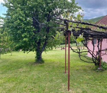 Mokra Gora Wohnung | Apartman Matija, Mokra Gora