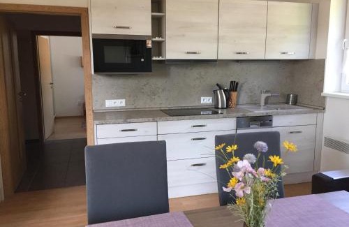 Velke Karlovice Wohnung | Apartman U sjezdovky