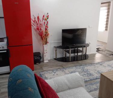 Mali Radic Wohnung | Apartman Varcar