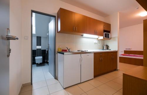 Cervena Voda Wohnung | Apartmany ve Skiresortu Bukova hora