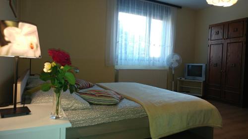 Koprivnica Haus | Apartment Cecilia Koprivnica