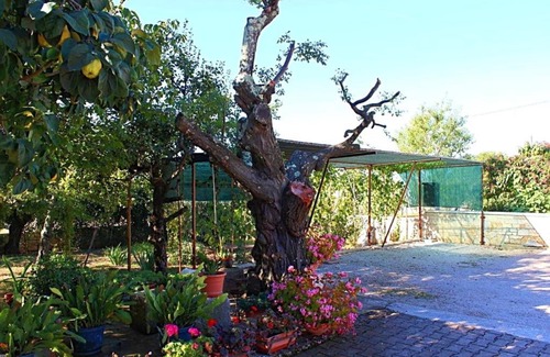 Vrvari Wohnung | Apartment in Vrvari with One-Bedroom 3