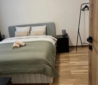 Radvan Wohnung | Apartment R&L Švermová - 2 min ESC, balcony