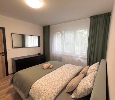 Radvan Wohnung | Apartment R&L Švermová - 2 min ESC, balcony