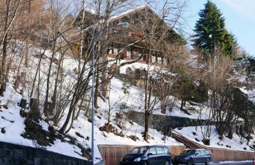 Zweisimmen Nr Gstaad Wohnung | Apartment Tree-Tops- Chalet by Interhome