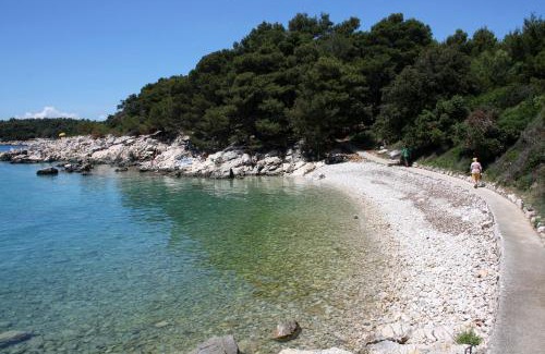 Suha Punta Wohnung | Apartments by the sea Kampor, Rab - 24554