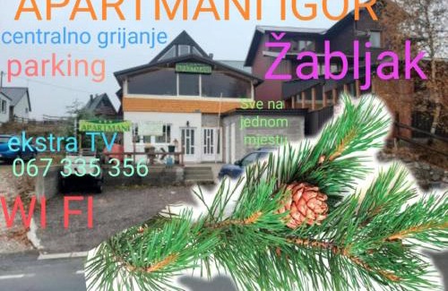 Zabljak Wohnung | Apartments Igor