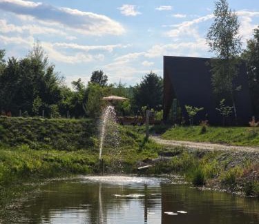 Avrig Skihütte | Api Aframe