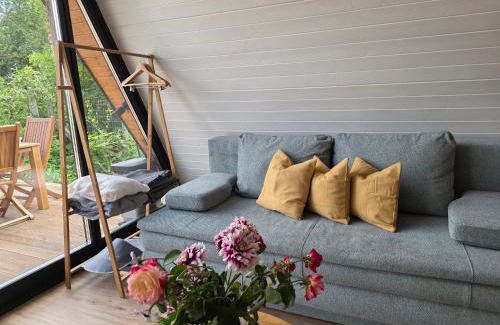 Avrig Skihütte | Api Aframe