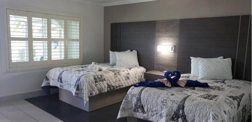 Cocoa Hotel | Apollo Inn - Cocoa