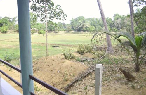 Hireguthi Haus | Appaji Cottage and Tent House