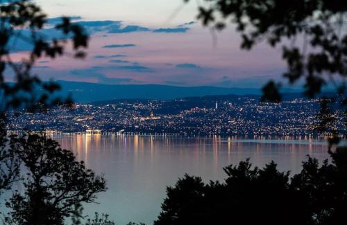 Lugrin Wohnung | Appart cosy avec vue sur Lac