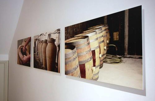 Caudies-de-Fenouilledes Wohnung | Appartements du Vin