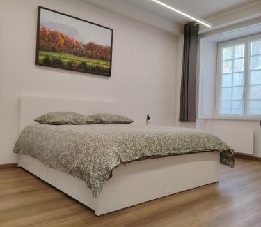 Arbois Wohnung | Appartement spacieux, centre d'Arbois