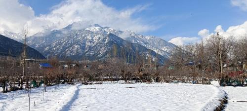 Pahalgam Wohnung | Apple Garden view and restaurant