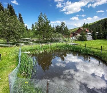 Covasna Skihütte | Après CHALET