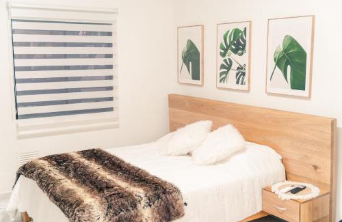 Belen Wohnung | Apto 203 - Casa bendita