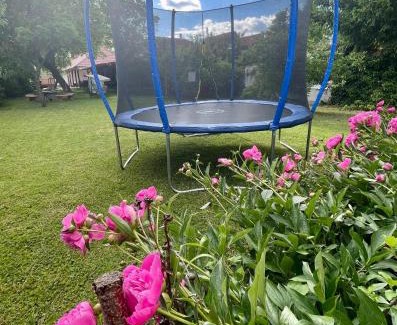 Bogacs Wohnung | ARANY13 Apartmanház - Mówimy po polsku!