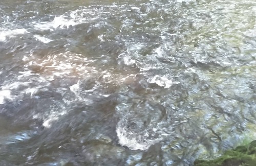 Harris Wohnmobilvermietung | Arcabuco - upper camp Taino Woods, 15 minutes to Bethel Woods Concerts, Casino,