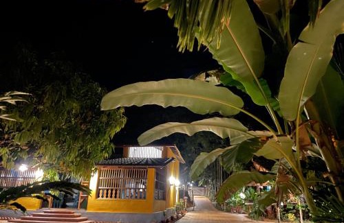 Honavar Haus | Areca County