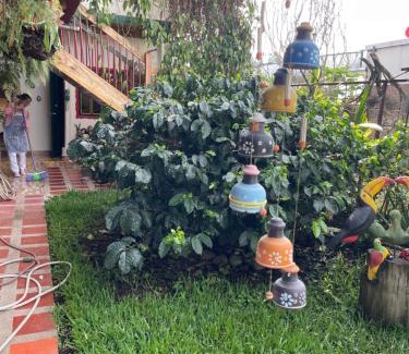 Luna Park Hotel | Aroma Cafetera