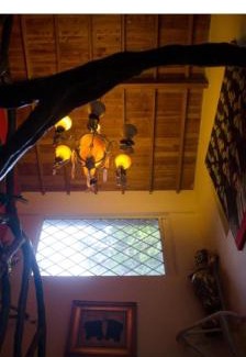 La Estrella Villa | Artsy lush villa with jungle garden in the city