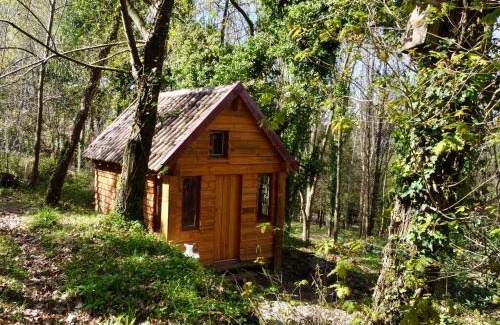 Branca Haus | Associação Quinta das Relvas
