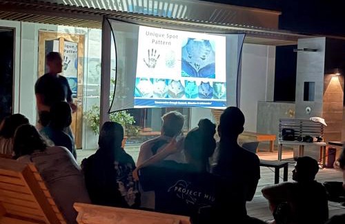 Fuvahmulah Hotel | Ataraxis Grand and Spa Fuvahmulah